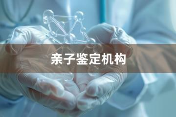 张家口亲子鉴定机构